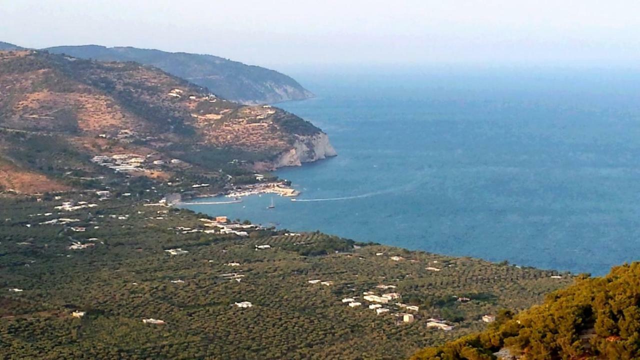 Villa Fralu Mattinata Dış mekan fotoğraf